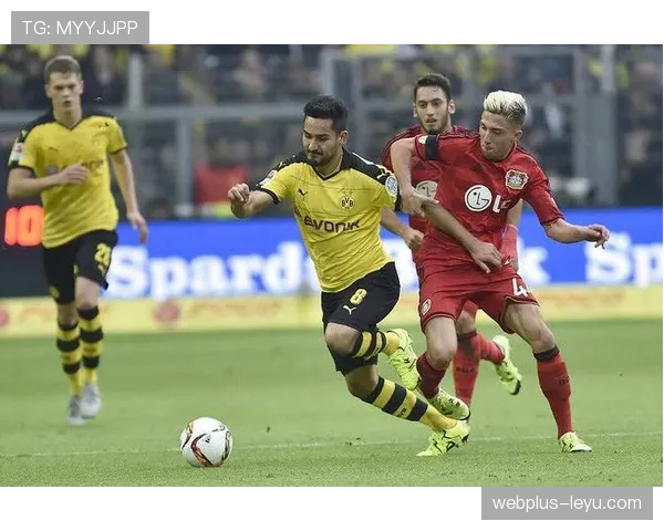 黄墙主场发威，多特蒙德强势取胜迎状态回暖